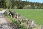 PICTURES/Belgium - Battle of the Bulge - Northern Shoulder Tour/t_Dragons Teeth5.JPG